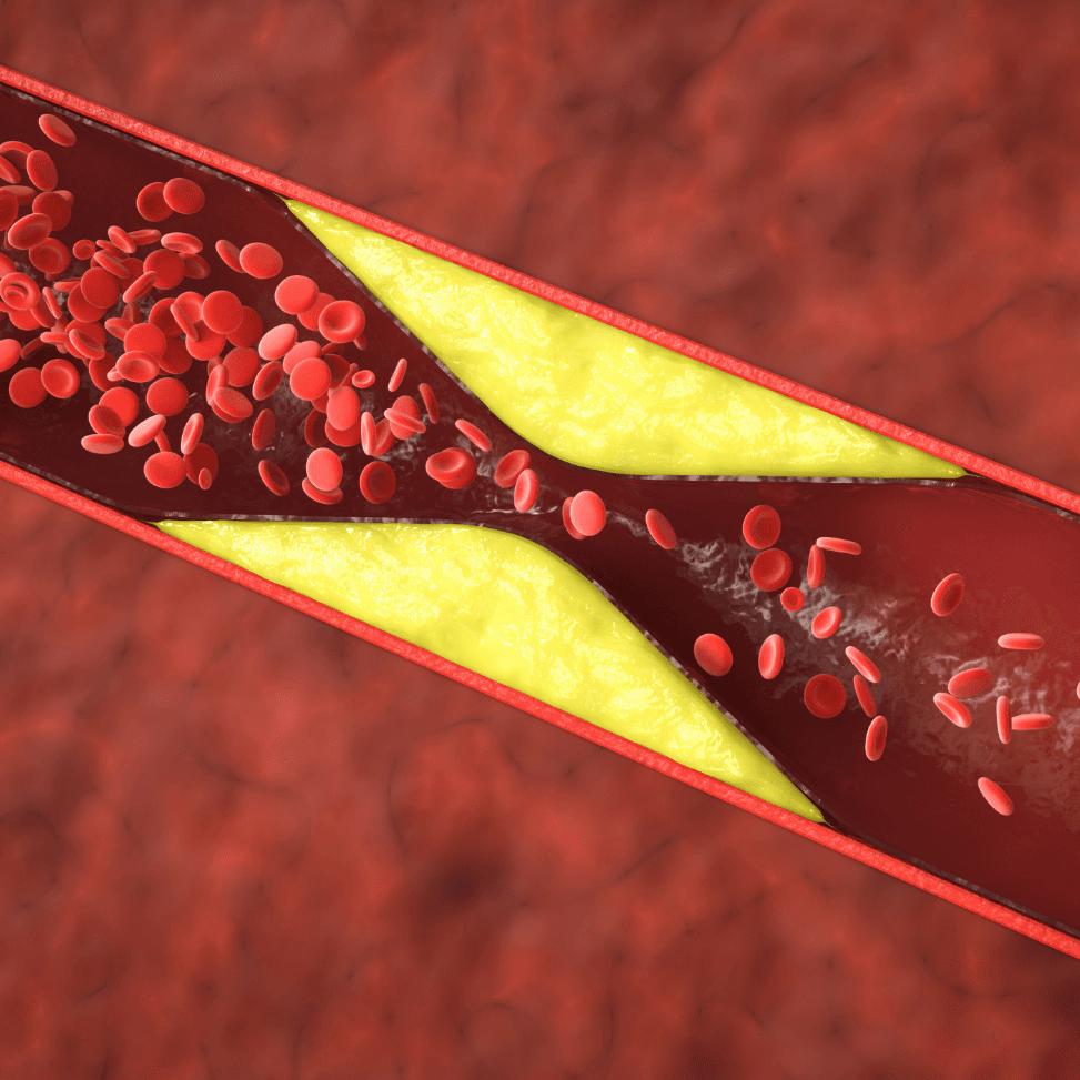 Cardiovascular health illustration